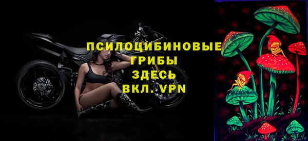 mix Коряжма
