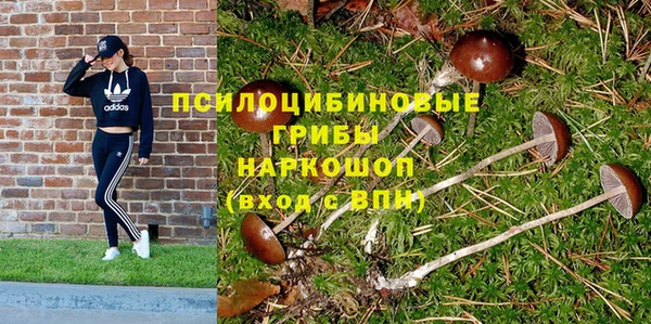 mix Коряжма